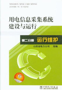 《運行維護 用電信息采集系統建設與運行 第二分冊 信息系統運行維護服務》解析
